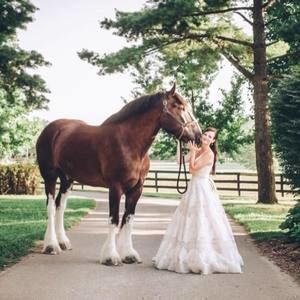 Meet your Posher, Sidney